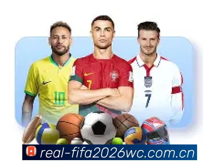 FIFA官方数据授权证书